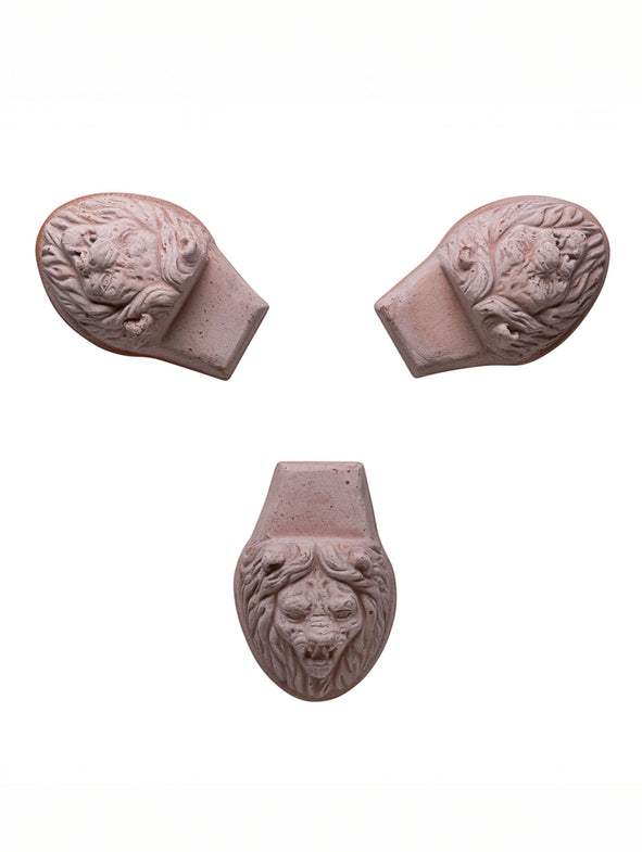 Lion Head Pot Feet